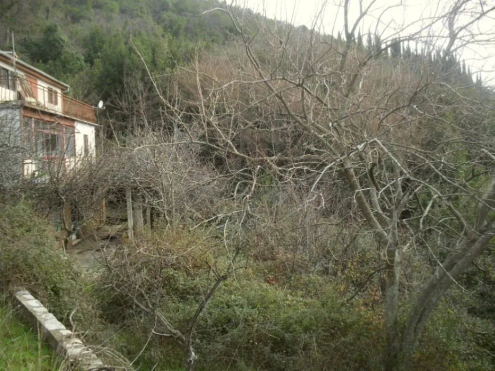 Prodaja, kuća, 221m², Sušćepan, Herceg Novi