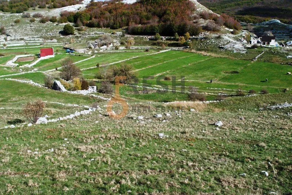 Prodaja, plac, 4307m², Cetinje, Crna Gora