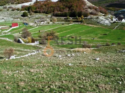 Prodaja, plac, 4307m², Cetinje, Crna Gora - image 4