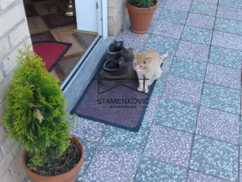 Prodaja, kuća, 90m², Irig, Srbija - image 3