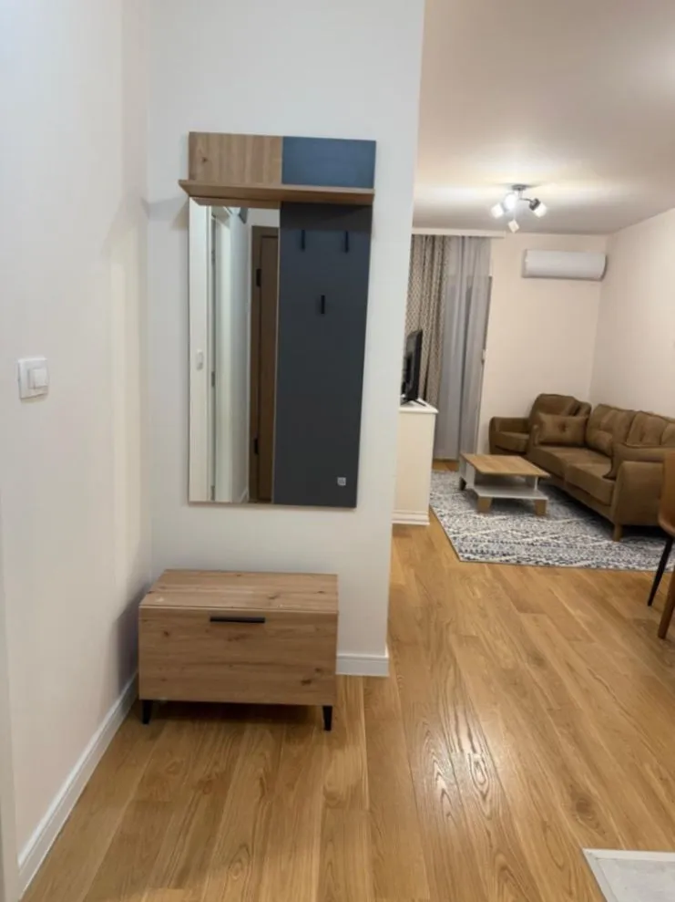 Izdavanje, jednosoban stan, 40m², Central Point, Podgorica