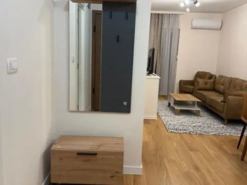 Izdavanje, jednosoban stan, 40m², Central Point, Podgorica - image 10