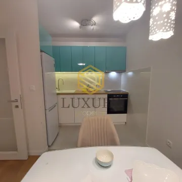 Rent, one bedroom apartment, 49m², Central Point, Podgorica - image 3