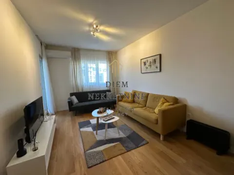 Rent, one bedroom apartment, 47m², Central Point, Podgorica - image 14