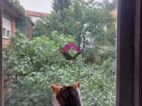 Prodaja, dvosoban stan, 53m², Karaburma, Palilula Sve Podlokacije - image 8