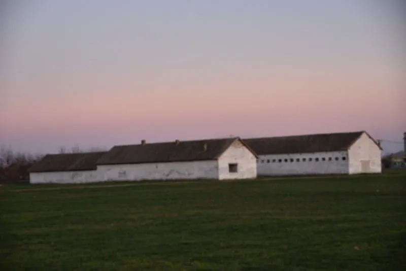 Sale, land lot, 98000m², Vrbas, Novi Sad