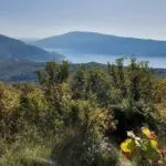 Sale, house, 40m², Herceg Novi, Crna Gora - image 3