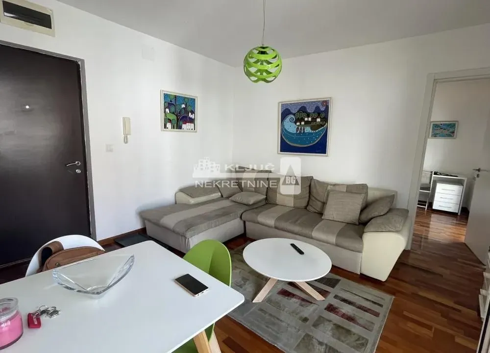 Izdavanje, dvosoban stan, 40m², Vračar Sve Podlokacije, Beograd