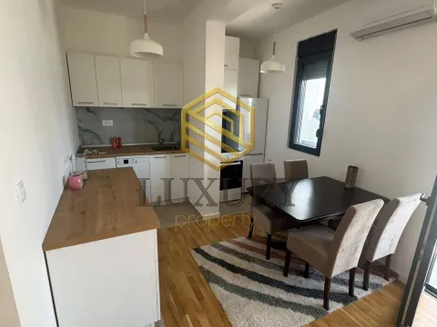 Izdavanje, jednosoban stan, 50m², Stara Varoš, Podgorica - image 2