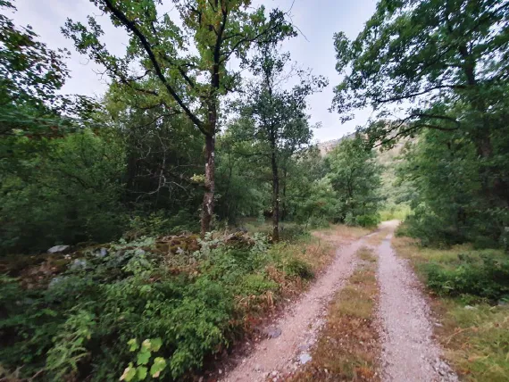 Prodaja, plac, 4781m², Grahovac, Nikšić