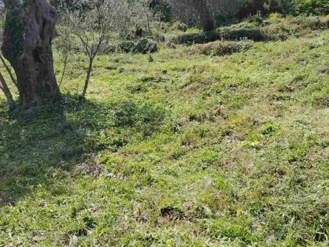 Zemljište in Zeleni Pojas