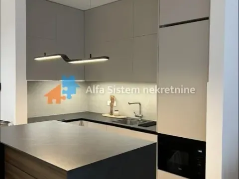 Izdavanje, dvosoban stan, 47m², Novi Beograd Blok 64, Novi Beograd Sve Podlokacije - image 5