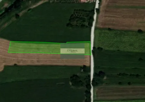 Prodaja, plac, 11464m², Lapovo, Srbija - image 6