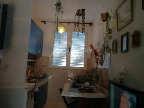 Sale, one bedroom apartment, 26m², Polje, Bar - image 3
