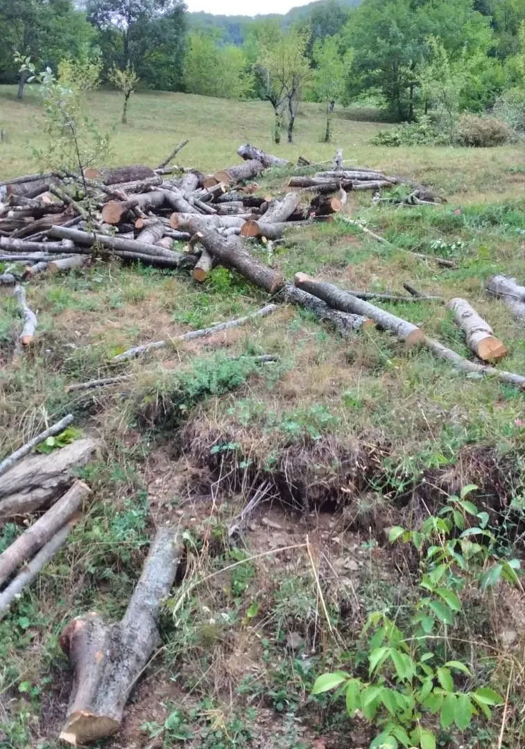 Prodaja, plac, 45233m², Kolašin, Crna Gora