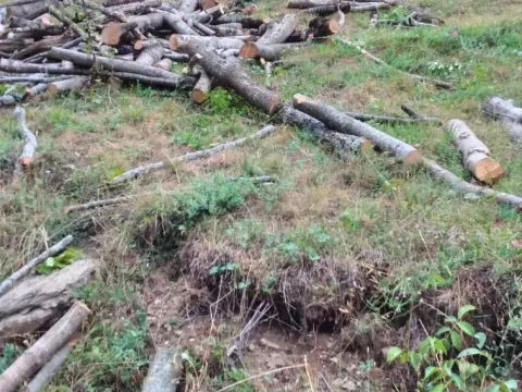 Prodaja, plac, 45233m², Kolašin, Crna Gora - image 6