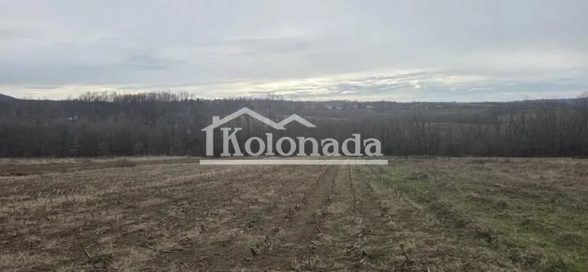 Prodaja, plac, 4000m², Nemenikuće, Sopot