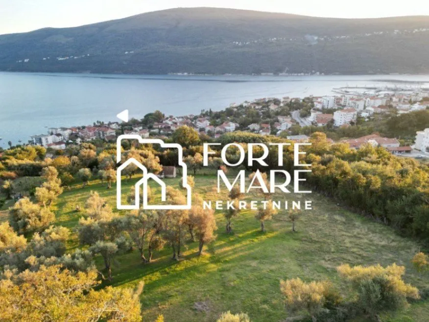 Prodaja, plac, 7560m², Đenovići, Herceg Novi