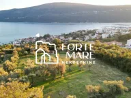Prodaja, plac, 7560m², Đenovići, Herceg Novi - image 3