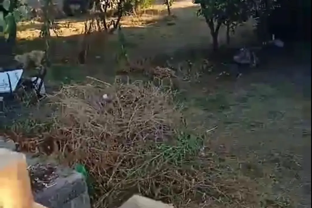 Prodaja, kuća, 113m², Bar, Crna Gora