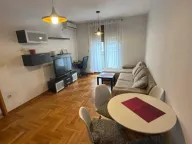 Izdavanje, jednosoban stan, 46m², Stari Aerodrom, Podgorica - image 1