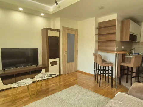 Prodaja, jednosoban stan, 43m², Ljubović, Podgorica - image 7