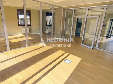 Poslovni prostor in Lion