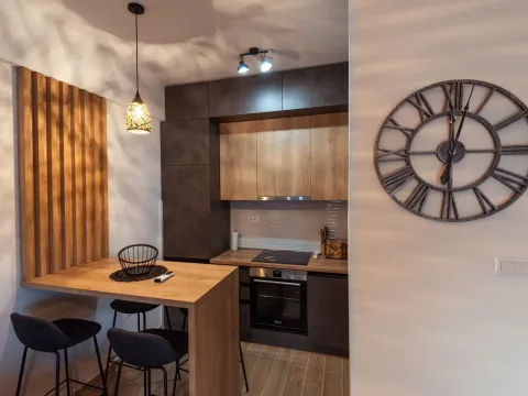 Izdavanje, jednosoban stan, 45m², Blok 9, Podgorica - image 9