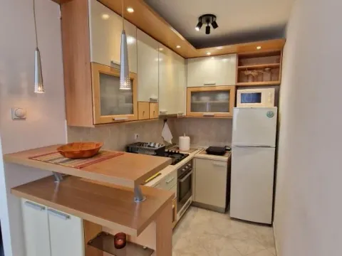 Izdavanje, dvosoban stan, 46m², Medijana, Niš - image 3