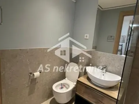 Izdavanje, dvosoban stan, 42m², Vračar Sve Podlokacije, Beograd - image 14