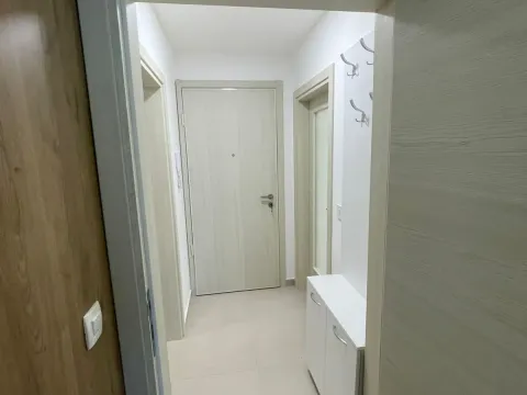 Izdavanje, jednosoban stan, 55m², Zagorič, Podgorica - image 24