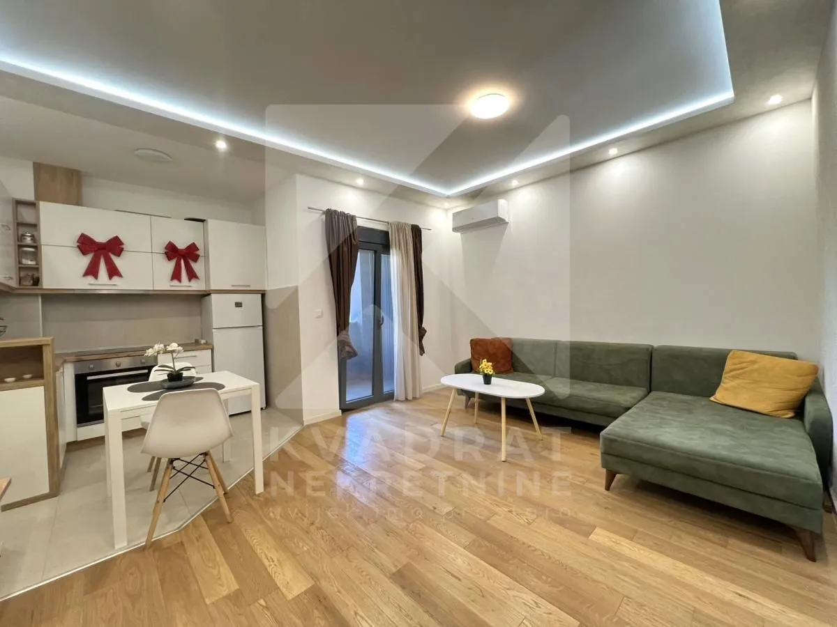 Rent, one bedroom apartment, 35m², Centar, Podgorica