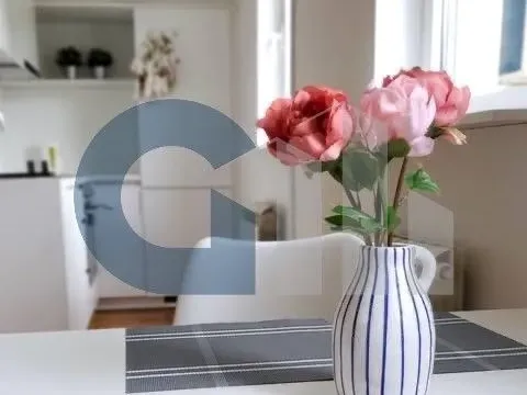 Prodaja, jednosoban stan, 35m², Kalenić Pijaca, Vračar Sve Podlokacije - image 4