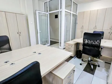 Rent, office space, 318m², Profesorska Kolonija, Palilula Sve Podlokacije - image 16