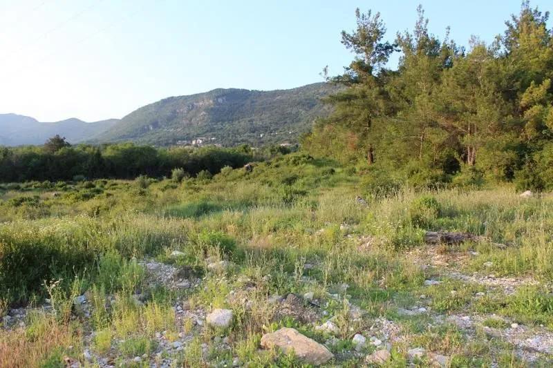 Prodaja, plac, 7200m², Kavač, Kotor