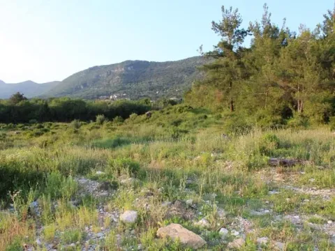 Prodaja, plac, 7200m², Kavač, Kotor - image 2