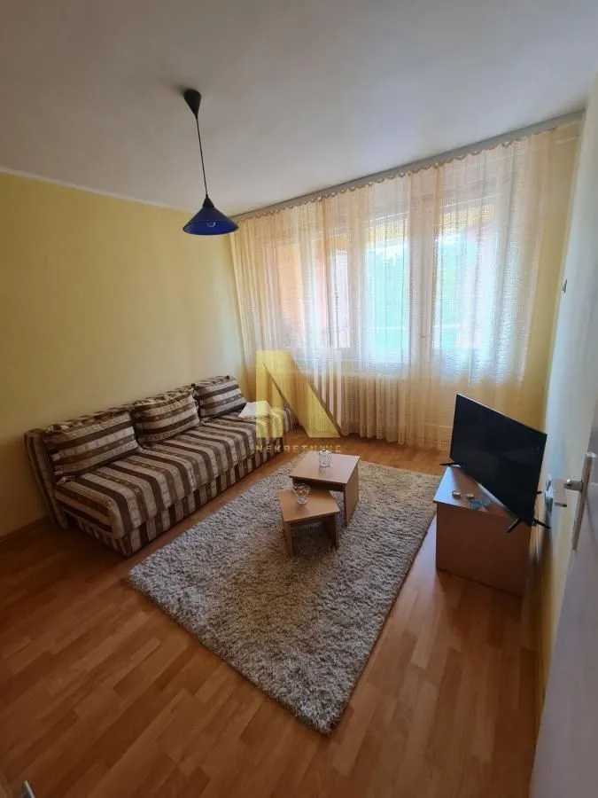Dnevna soba sa kaučem, tepihom, malim stočićem i televizorom.