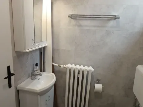 Rent, one bedroom apartment, 23m², Vračar Hram, Vračar Sve Podlokacije - image 5
