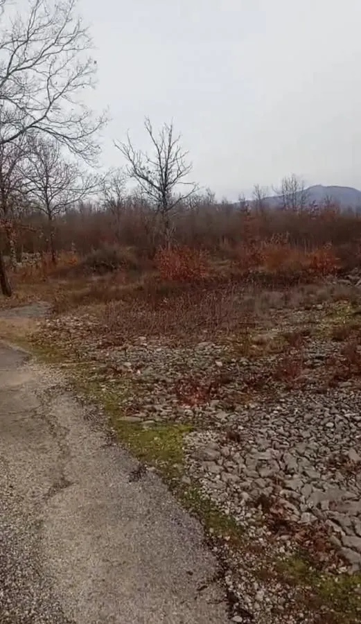 Prodaja, plac, 20000m², Bandići, Danilovgrad