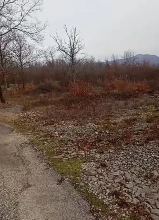 Sale, land lot, 20000m², Bandići, Danilovgrad