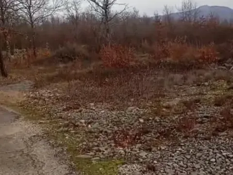 Sale, land lot, 20000m², Bandići, Danilovgrad