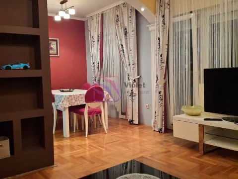 Izdavanje, jednosoban stan, 73m², Stari Aerodrom, Podgorica - image 6