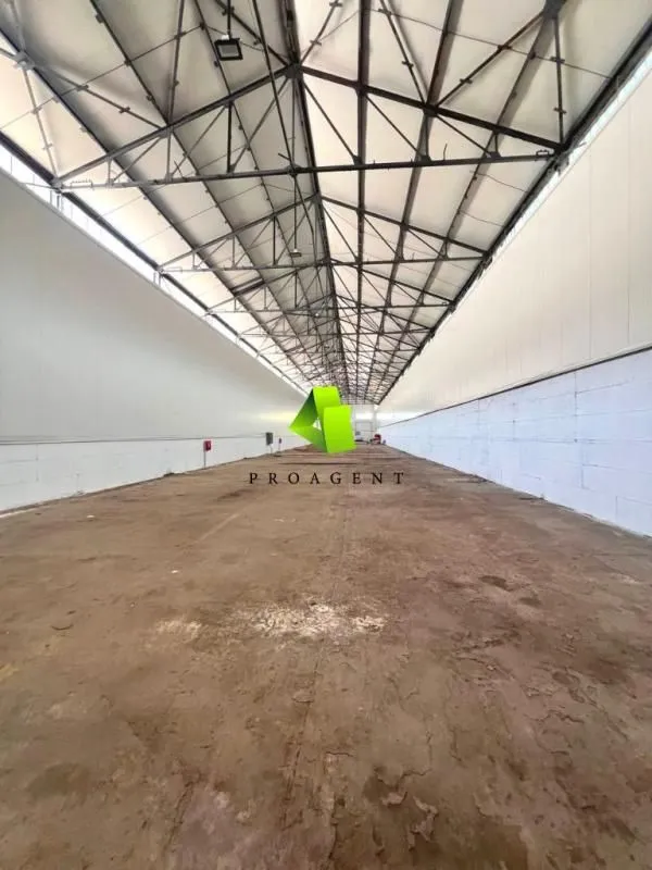 Izdavanje, poslovni prostor, 1150m², Medijana, Niš
