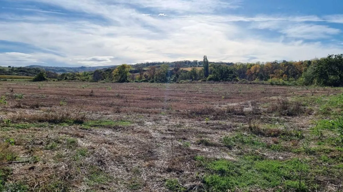 Prodaja, plac, 234m², Sremski Karlovci, Novi Sad
