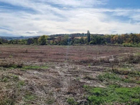 Sale, land lot, 234m², Sremski Karlovci, Novi Sad - image 5