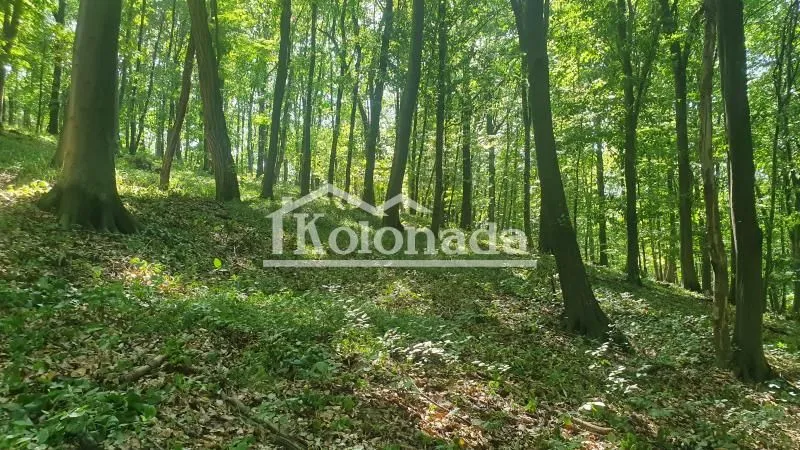Prodaja, plac, 15600m², Sopot, Beograd