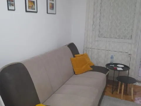 Izdavanje, dvosoban stan, 36m², Detelinara, Novi Sad Sve Podlokacije - image 12
