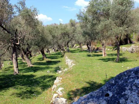 Prodaja, plac, 2300m², Bar, Crna Gora - image 4