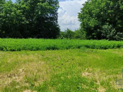 Prodaja, kuća, 75m², Ribare, Jagodina - image 2