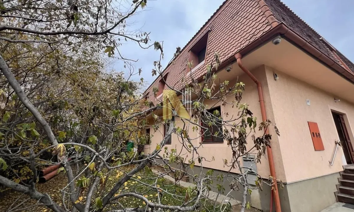 Izdavanje, poslovni prostor, 240m², Sajmište, Novi Sad